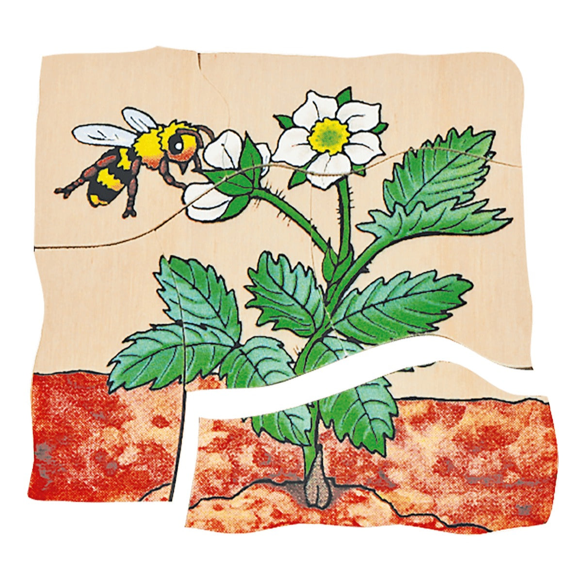 Lagenpuzzle „Erdbeere“