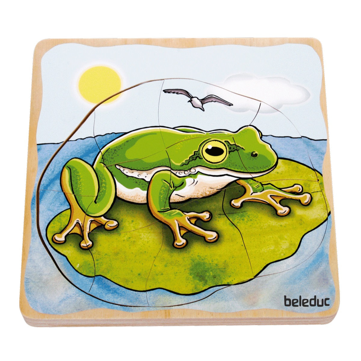 Lagenpuzzle „Frosch“