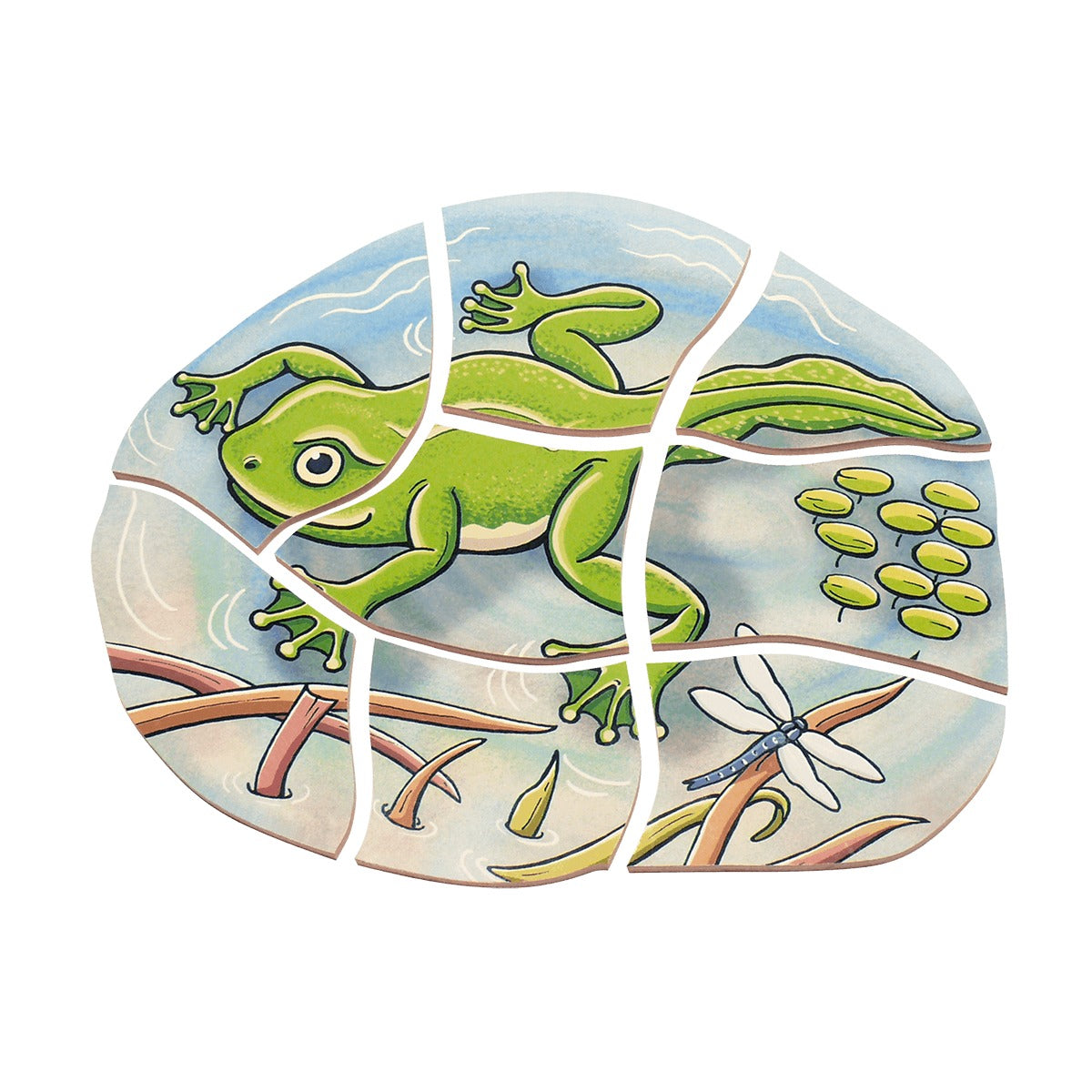 Lagenpuzzle „Frosch“