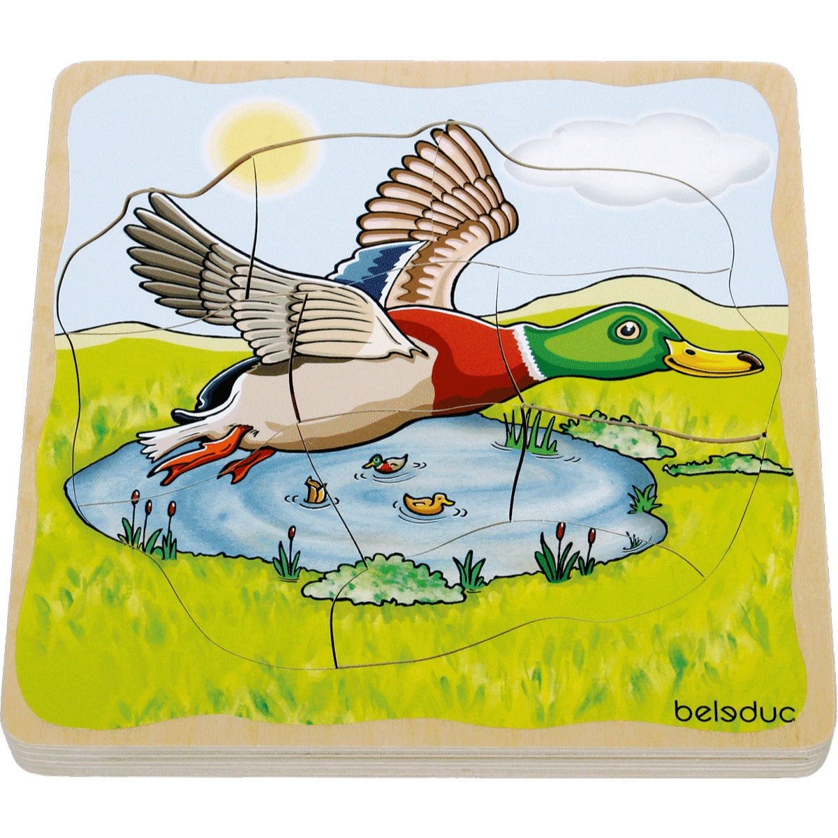 Lagenpuzzle „Ente“