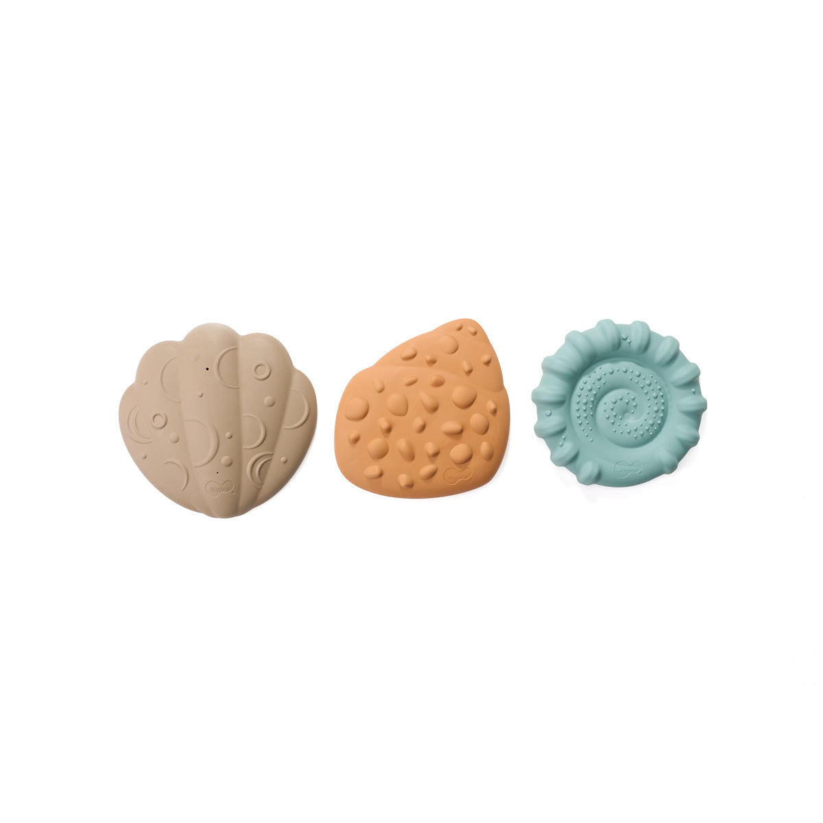 Squishy Tactile Shell Fühlmuscheln