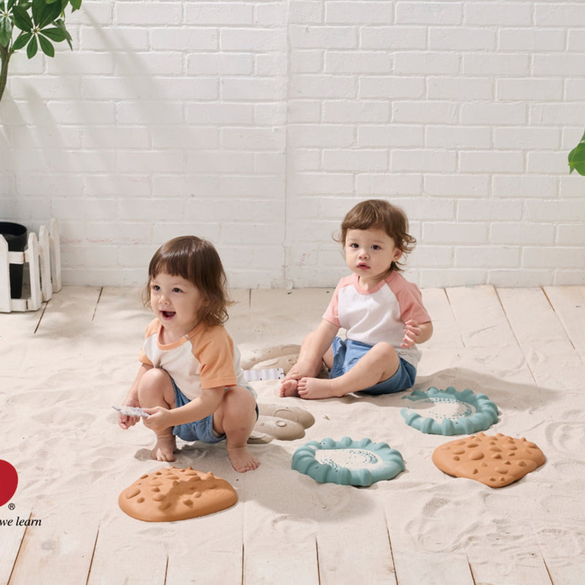 Squishy Tactile Shell Fühlmuscheln – Bild 5