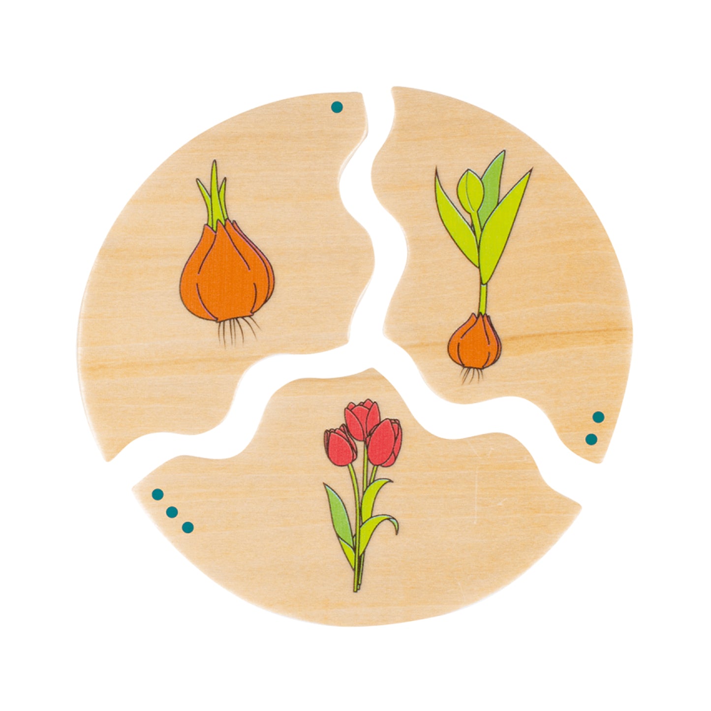 Nawito "Entwicklung"