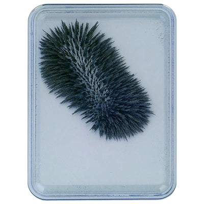 Eisenpulver-Box