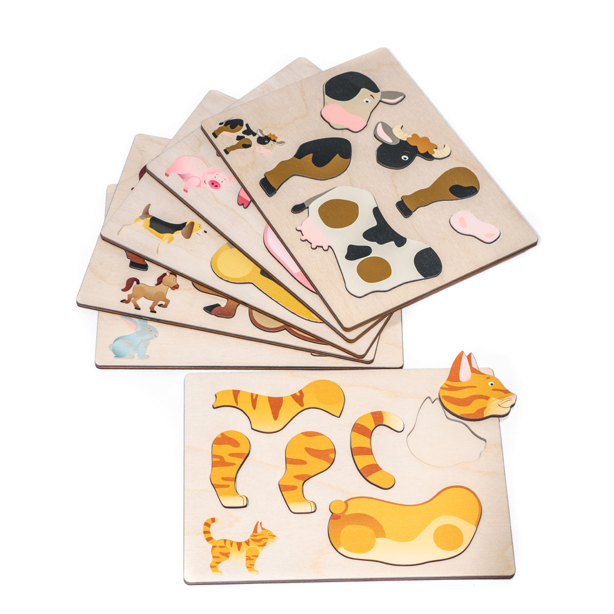 Magnetpuzzle, 6er-Set in Holzbox