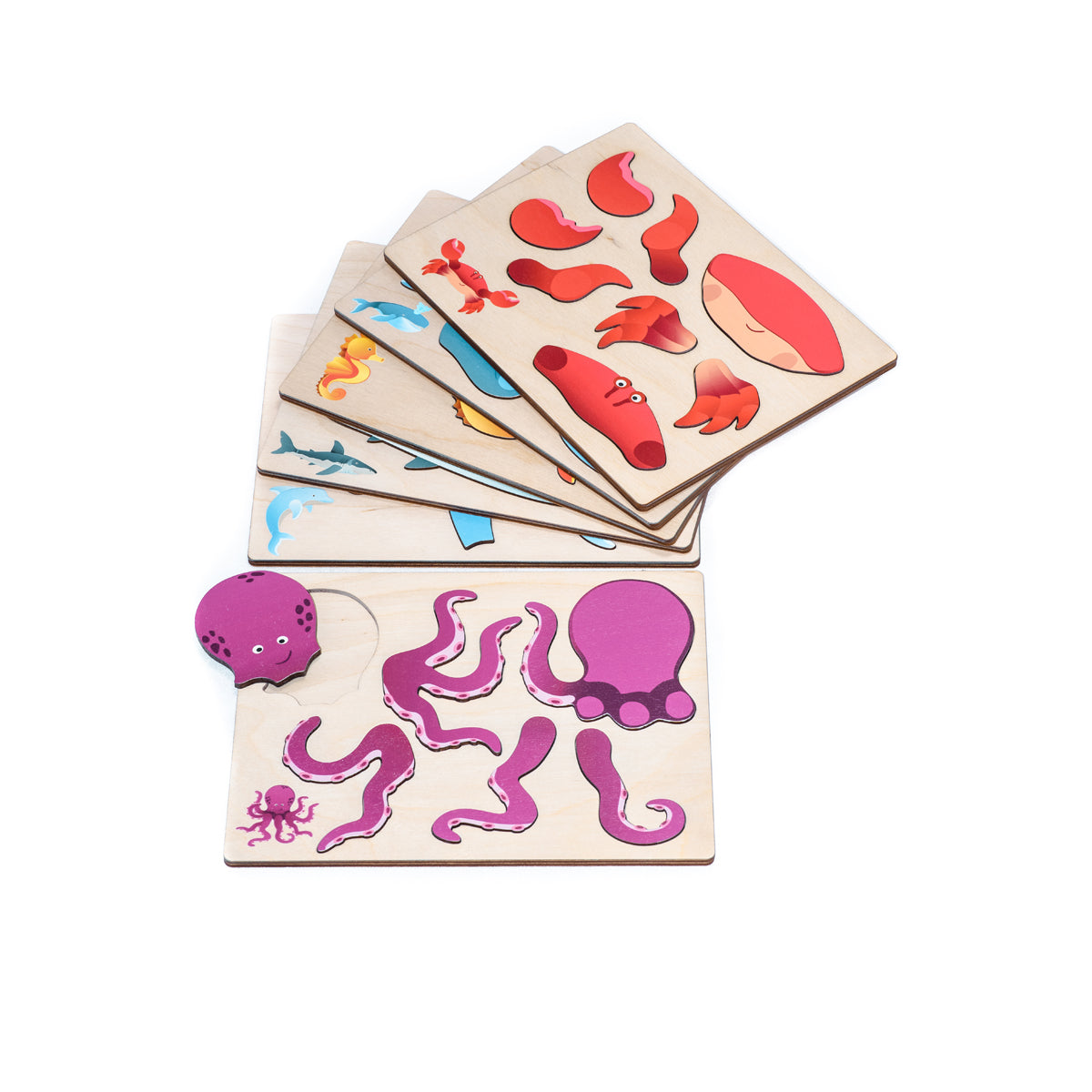 Magnetpuzzle, 6er-Set in Holzbox
