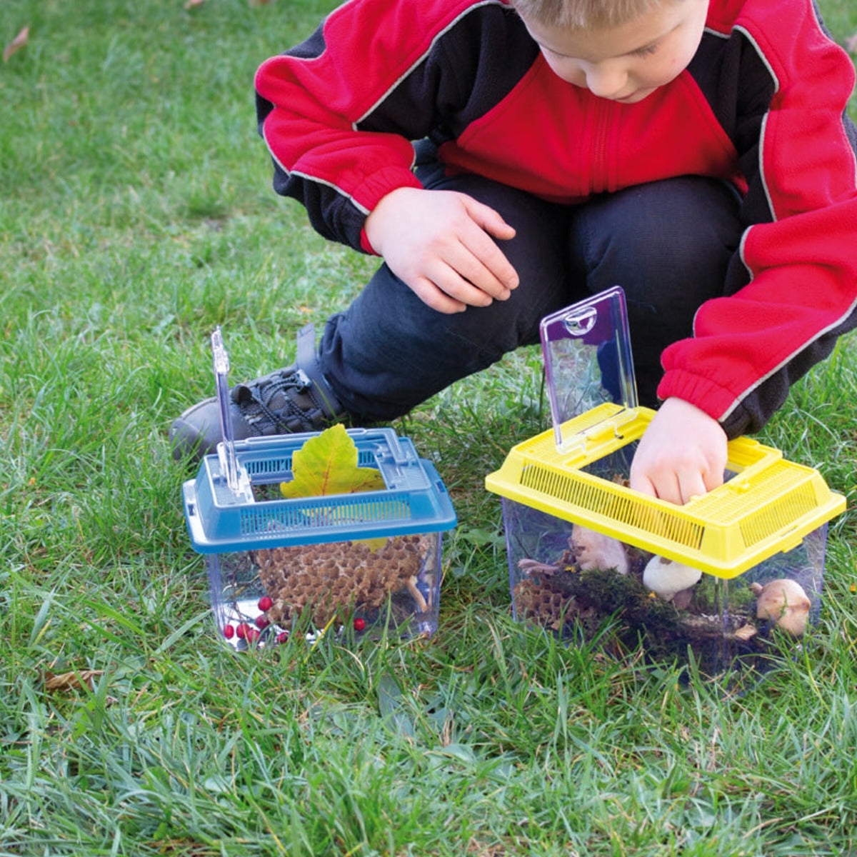 Insektenboxen, 2er-Set – Bild 5