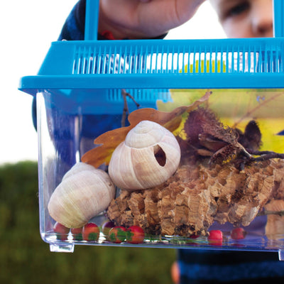 Insektenboxen, 2er-Set – Bild 4