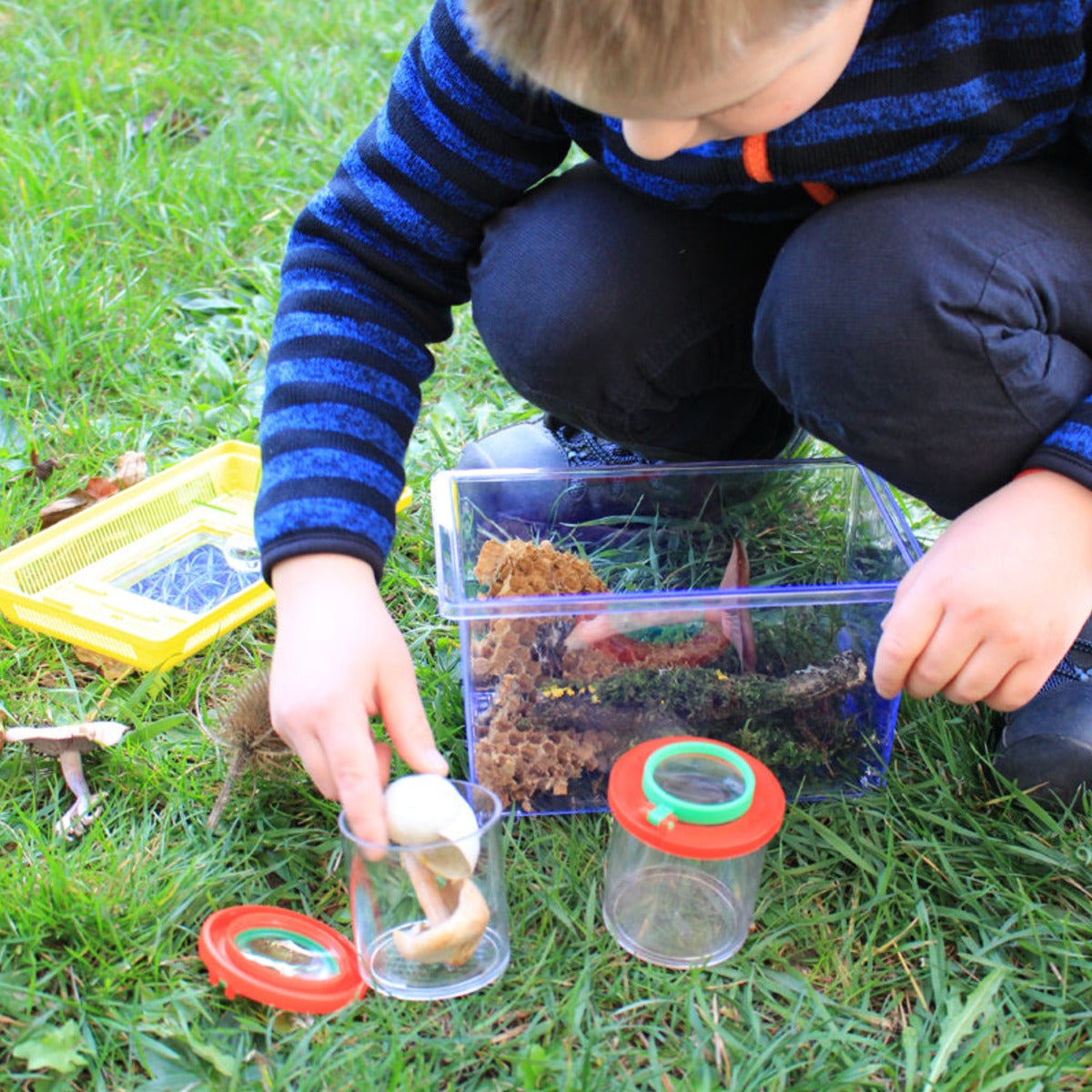 Insektenboxen, 2er-Set – Bild 6