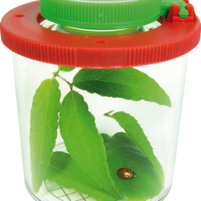 Lupendose groß – Bild 3