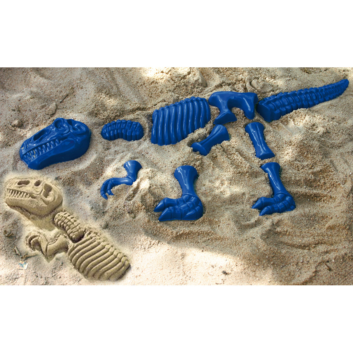 Sandform Tyrannosaurus Rex