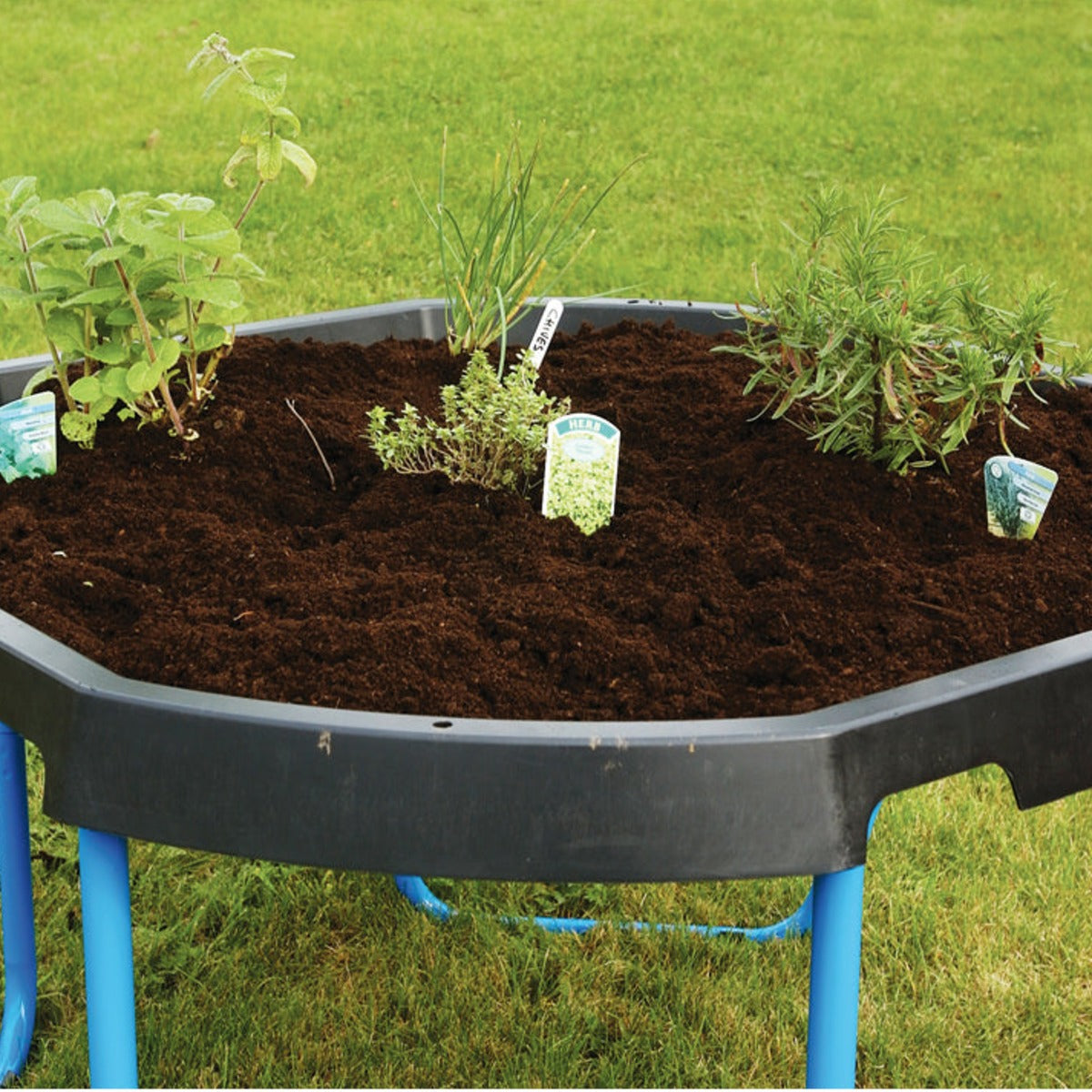 Matschwanne – Bild 3