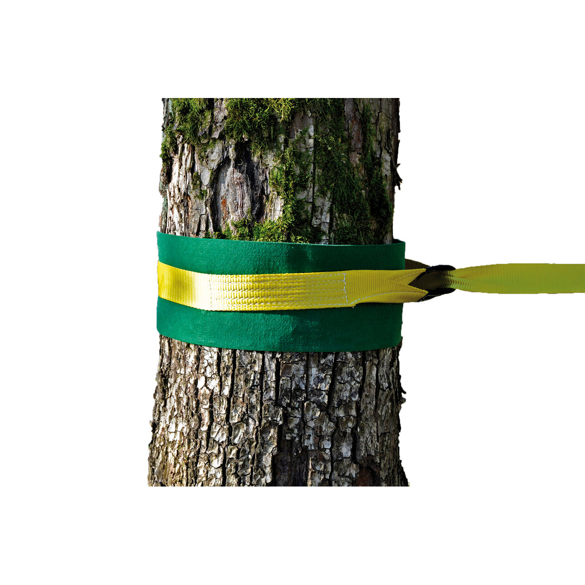 Baumschoner für Slackline, 2er-Set – Bild 3