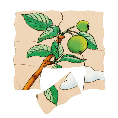 Lagenpuzzle „Apfel“