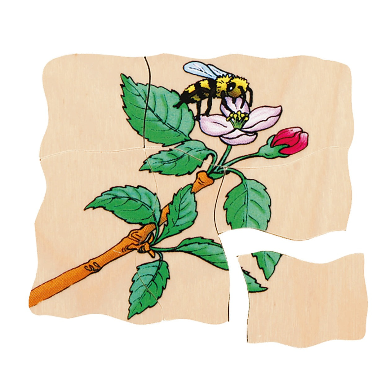 Lagenpuzzle „Apfel“