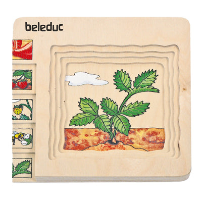 Lagenpuzzle „Erdbeere“