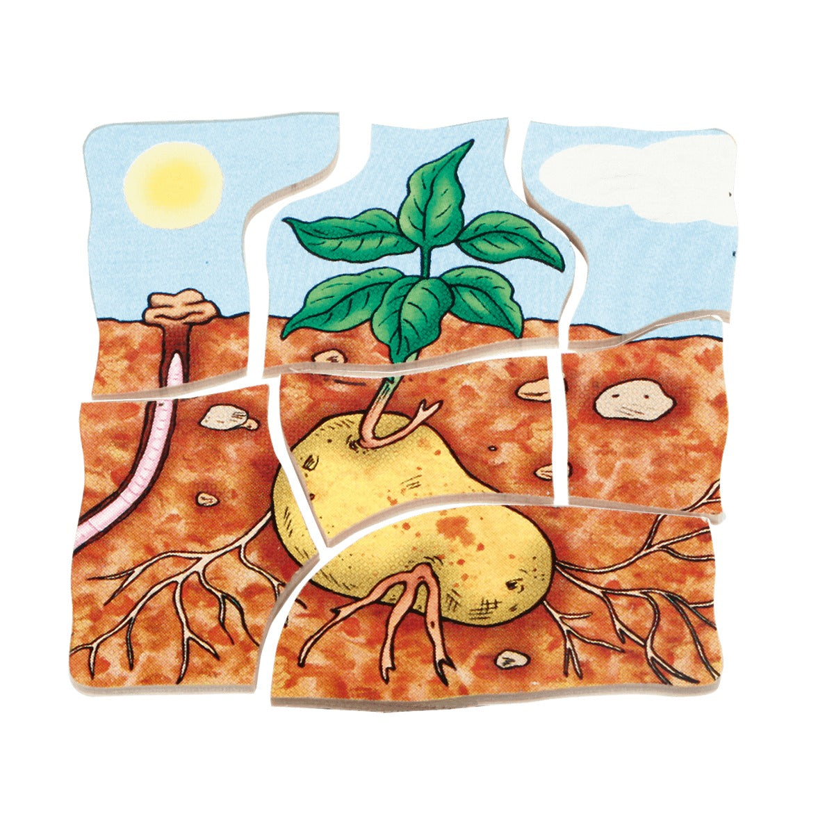 Lagenpuzzle „Kartoffel“