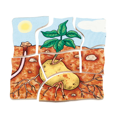 Lagenpuzzle „Kartoffel“