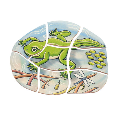 Lagenpuzzle „Frosch“