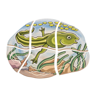 Lagenpuzzle „Frosch“