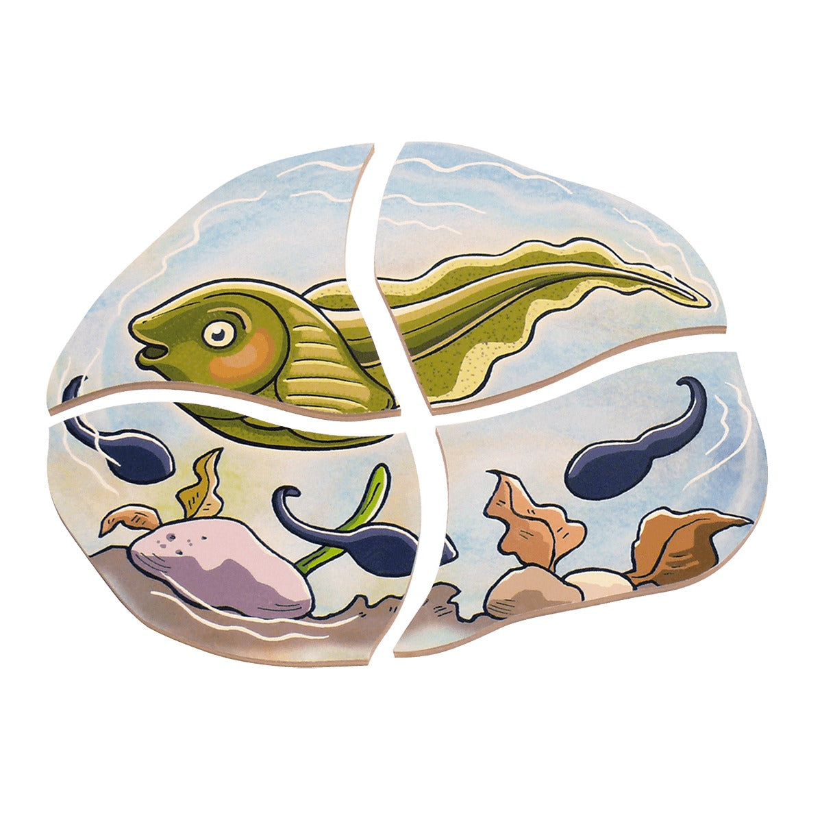 Lagenpuzzle „Frosch“