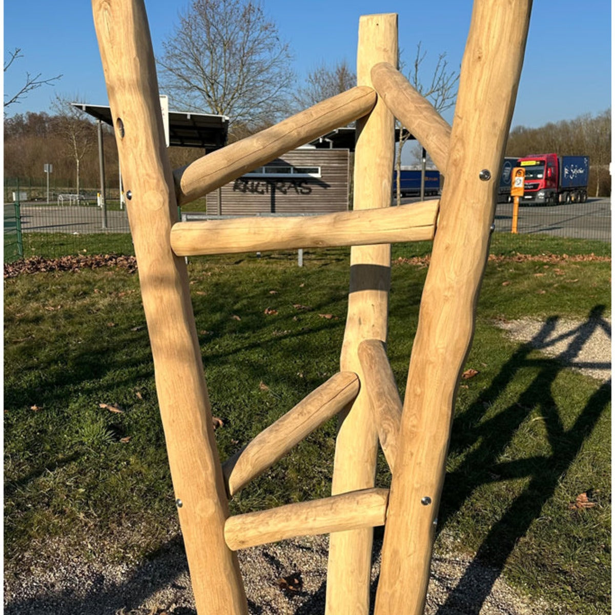 Kletterbaum Robinie – Bild 2