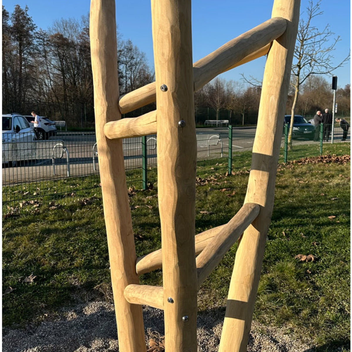 Kletterbaum Robinie – Bild 3