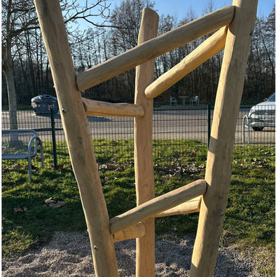 Kletterbaum Robinie – Bild 4