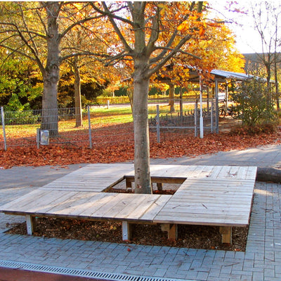 Liegedeck-Element Kiefer – Bild 2