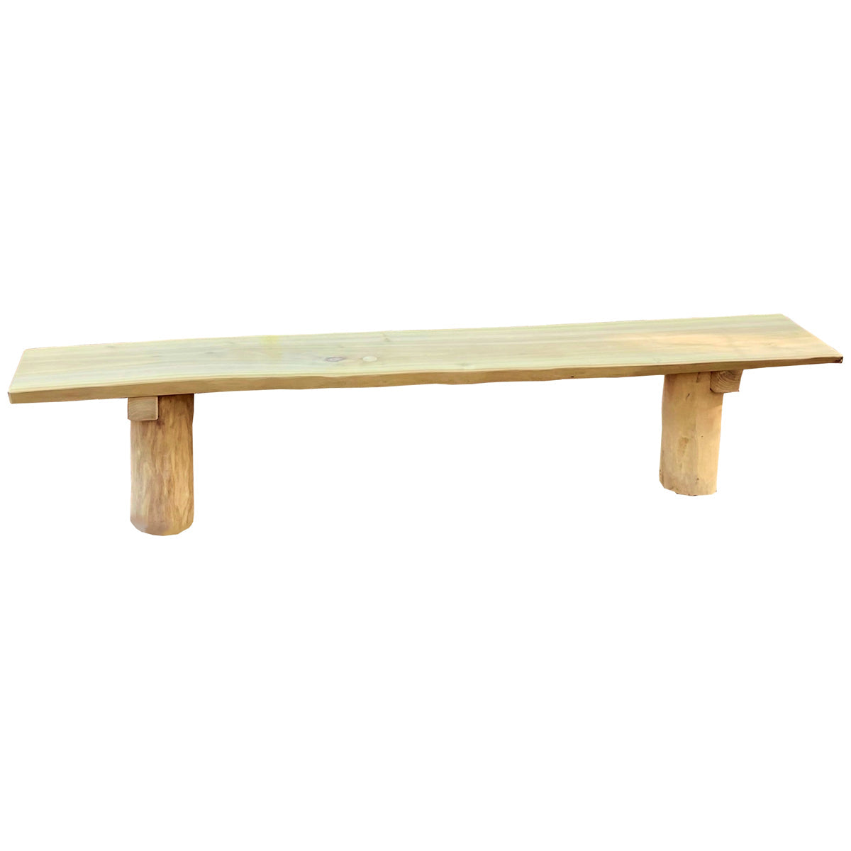 Waldklassenzimmer Robinie – Bild 6