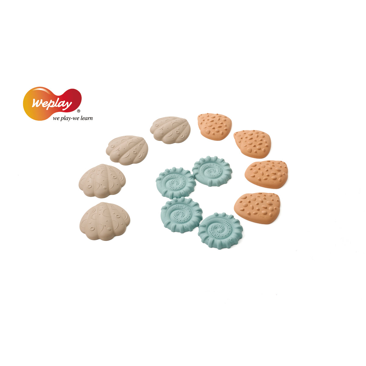 Squishy Tactile Shell Fühlmuscheln – Bild 2