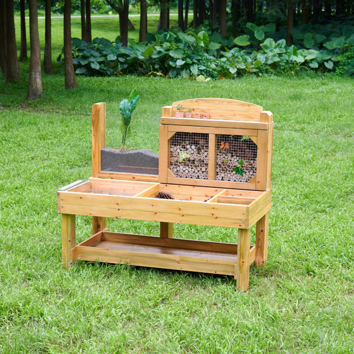 Insekten- und Pflanzenbeobachtungsstand