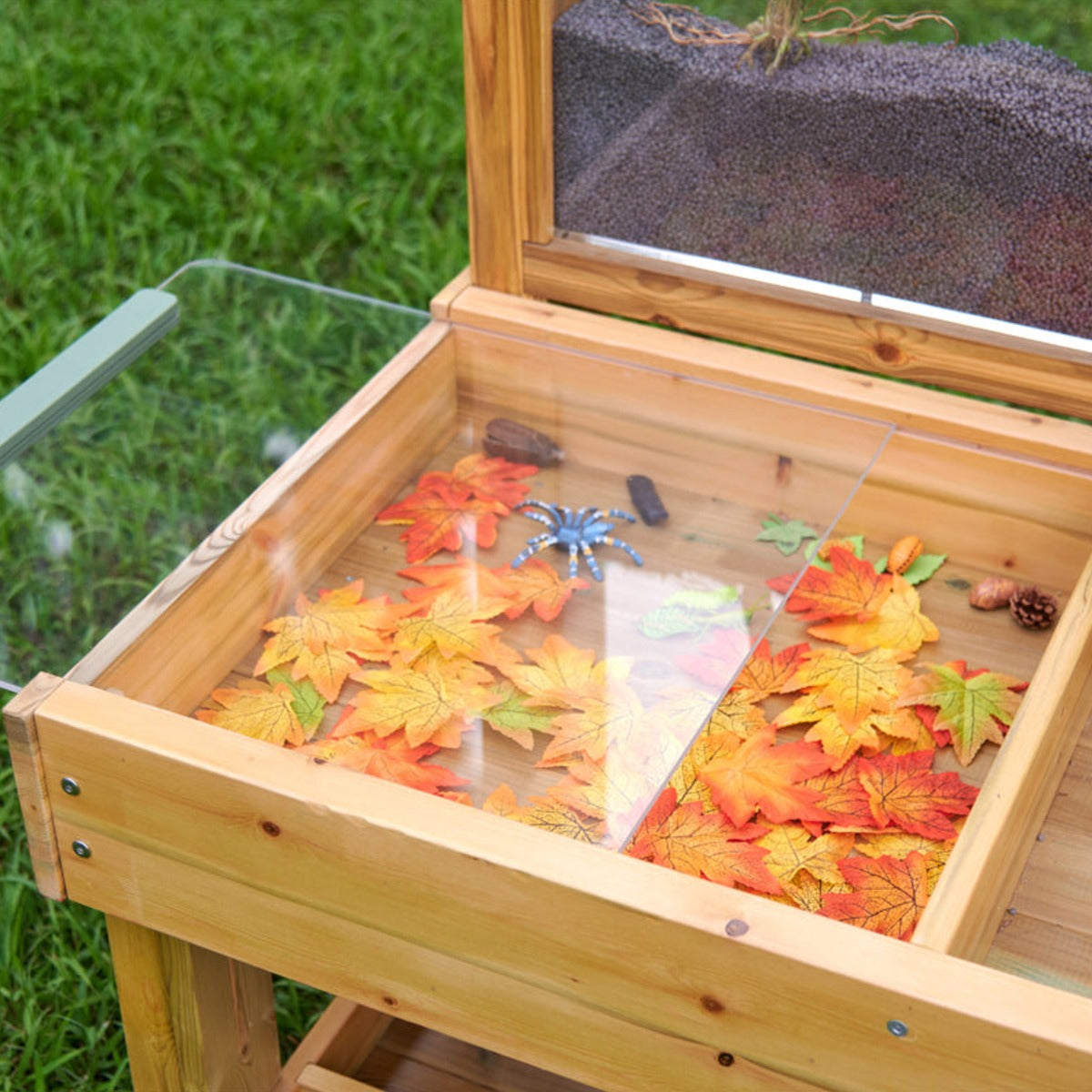 Insekten- und Pflanzenbeobachtungsstand – Bild 4
