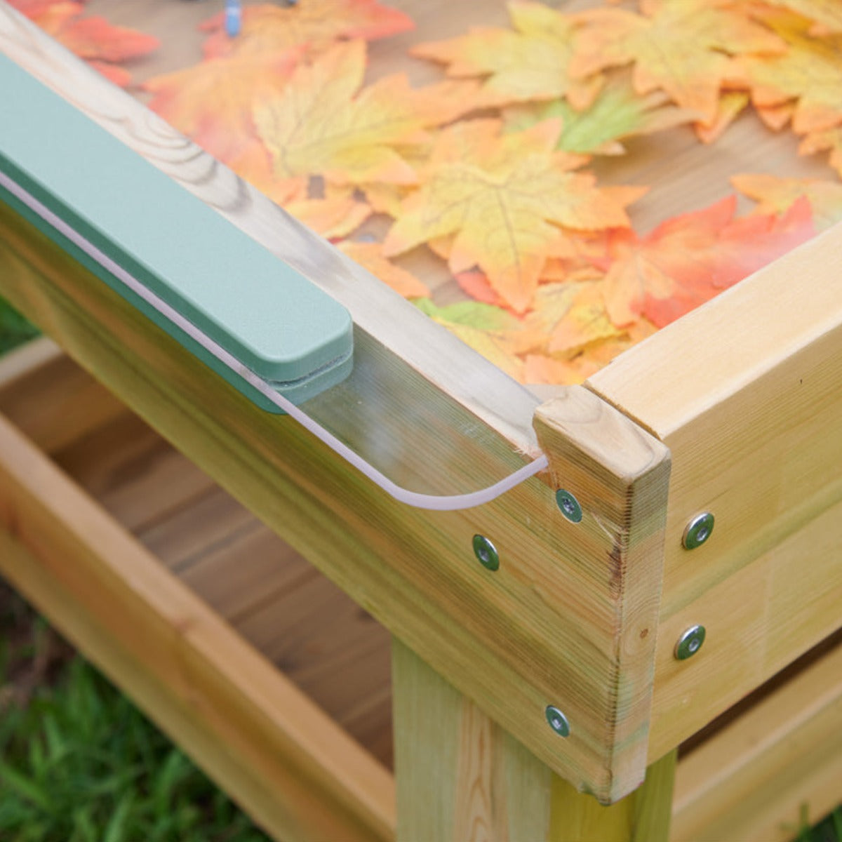 Insekten- und Pflanzenbeobachtungsstand – Bild 5